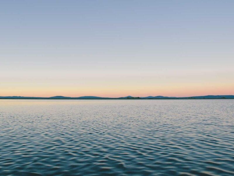 Nisi laoreet dui dictum netus euismod at tempor tempus feugiat